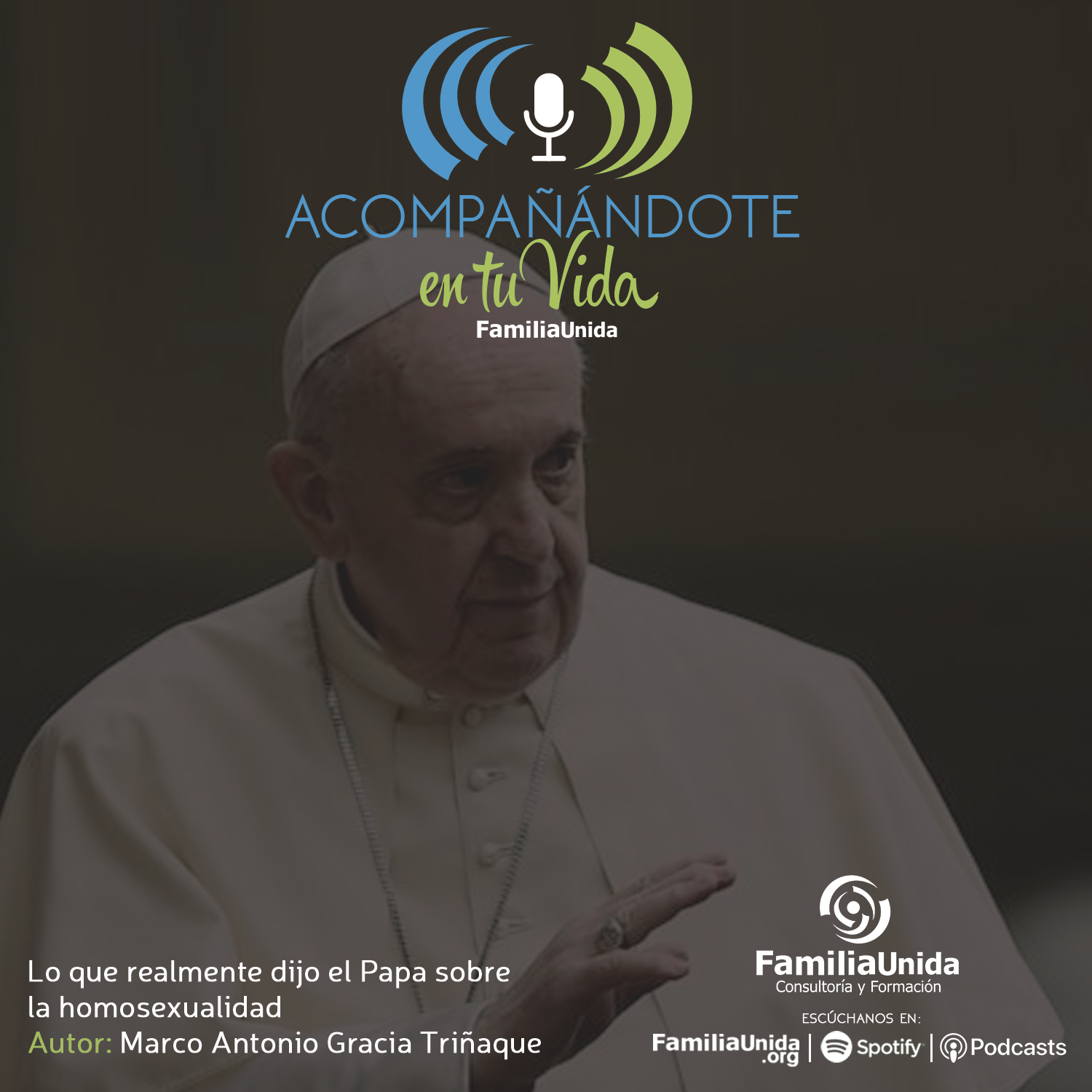 Lo que realmente dijo el Papa en torno a la homosexualidad