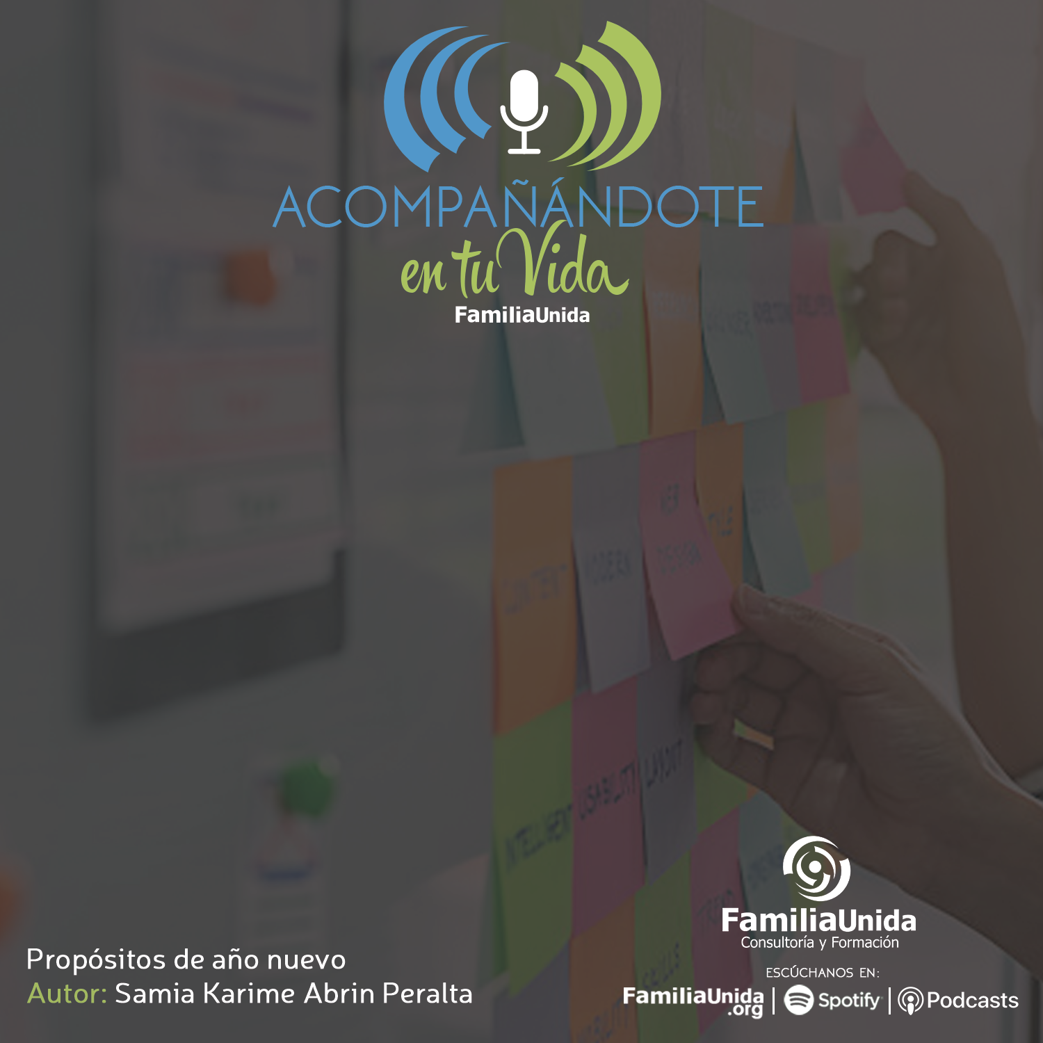 Propósitos de año nuevo